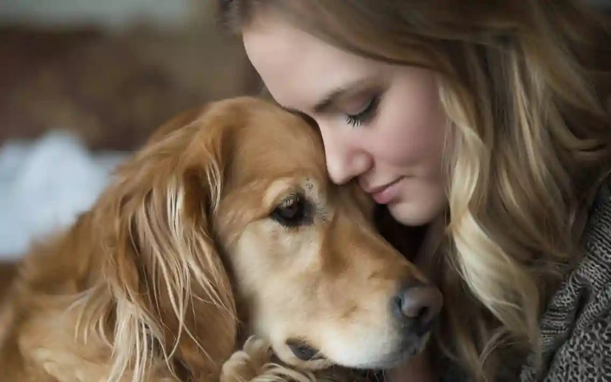 How dogs show affection to humans