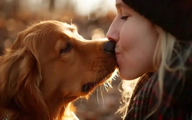 Image of adorable dog kissing its owner