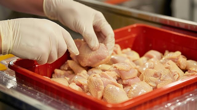 Portioning boiled chicken into storage containers could be helpful