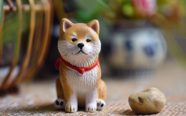 A photo of a small Akita figurine, the kind given as a good luck charm.