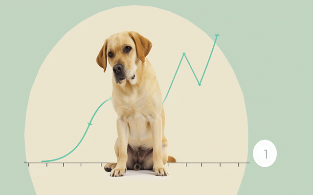 A line graph showing the emotional ups and downs of potty training regression a dog