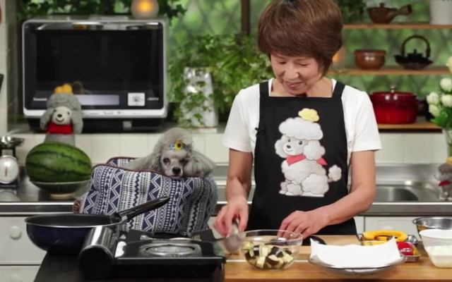 An image of a dog owner cooking in a kitchen