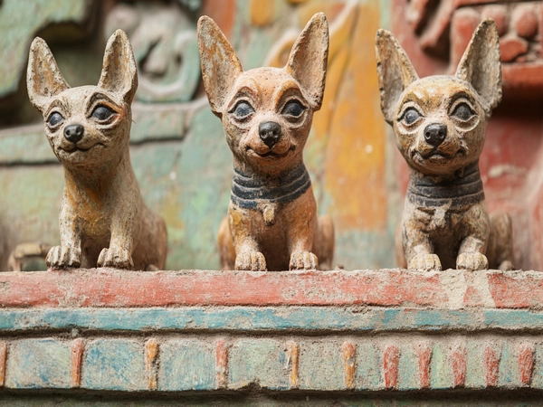 Historical artifacts depicting ancient Chihuahuas and Miniature Pinschers