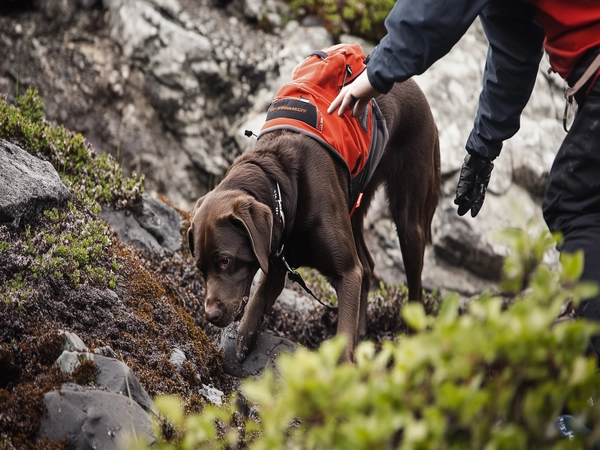 A Labernard engaging in a search and rescue activity